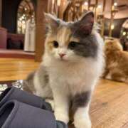 ヒメ日記 2025/05/27 10:43 投稿 あや THE ESUTE HOUSE 柴田