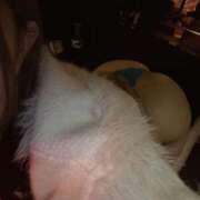 ヒメ日記 2025/08/25 14:06 投稿 あや THE ESUTE HOUSE 柴田