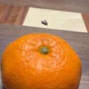 ヒメ日記 2026/01/29 14:30 投稿 あや THE ESUTE HOUSE 柴田