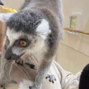 ヒメ日記 2026/03/16 19:46 投稿 あや THE ESUTE HOUSE 柴田