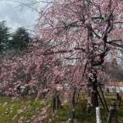 ヒメ日記 2026/03/24 16:36 投稿 あや THE ESUTE HOUSE 柴田