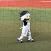 ヒメ日記 2025/03/25 14:45 投稿 西宮なな 洗体アカスリとHなスパのお店