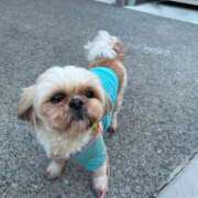 ヒメ日記 2025/04/05 16:09 投稿 三島れいか 洗体アカスリとHなスパのお店