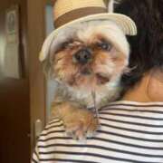 ヒメ日記 2025/04/19 15:49 投稿 三島れいか 洗体アカスリとHなスパのお店