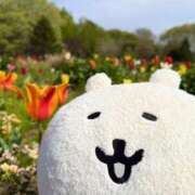 ヒメ日記 2026/04/18 16:47 投稿 三島れいか 洗体アカスリとHなスパのお店（埼玉ハレ系）