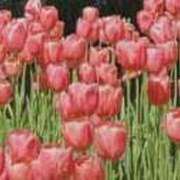 ヒメ日記 2025/05/03 09:44 投稿 野々村あずさ 洗体アカスリとHなスパのお店