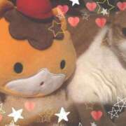 ヒメ日記 2025/04/05 23:47 投稿 赤塚ゆかな 洗体アカスリとHなスパのお店