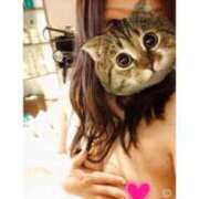 ヒメ日記 2024/12/17 16:54 投稿 あきほ 北九州人妻倶楽部（三十路、四十路、五十路）