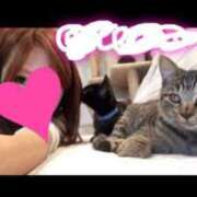 ヒメ日記 2024/12/22 14:45 投稿 あきほ 北九州人妻倶楽部（三十路、四十路、五十路）