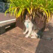 ヒメ日記 2025/02/15 09:33 投稿 あきほ 北九州人妻倶楽部（三十路、四十路、五十路）