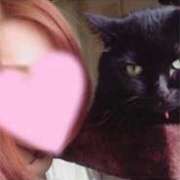 ヒメ日記 2025/03/13 18:57 投稿 あきほ 北九州人妻倶楽部（三十路、四十路、五十路）