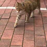 ヒメ日記 2025/07/11 21:09 投稿 あきほ 北九州人妻倶楽部（三十路、四十路、五十路）