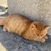 ヒメ日記 2025/07/13 16:51 投稿 あきほ 北九州人妻倶楽部（三十路、四十路、五十路）