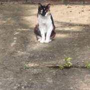 ヒメ日記 2025/07/26 21:27 投稿 あきほ 北九州人妻倶楽部（三十路、四十路、五十路）