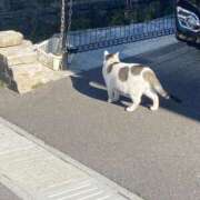 ヒメ日記 2025/07/29 20:21 投稿 あきほ 北九州人妻倶楽部（三十路、四十路、五十路）