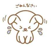 坂井のどか★ 明日お休みします😢 elumo(エルモ)