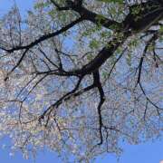 ヒメ日記 2025/04/09 16:40 投稿 モモカ Club 妻