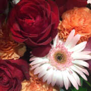 ヒメ日記 2025/04/30 16:55 投稿 モモカ Club 妻