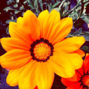 ヒメ日記 2025/05/27 10:28 投稿 モモカ Club 妻