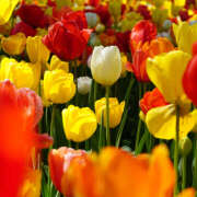 ヒメ日記 2025/06/02 15:24 投稿 モモカ Club 妻