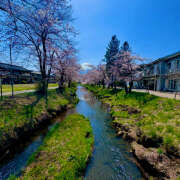 ヒメ日記 2025/07/27 11:25 投稿 モモカ Club 妻