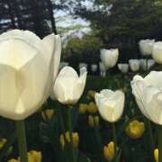 ヒメ日記 2025/09/03 16:02 投稿 モモカ Club 妻