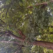 ヒメ日記 2025/09/16 12:56 投稿 モモカ Club 妻