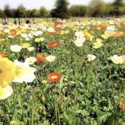 ヒメ日記 2026/02/22 00:09 投稿 モモカ Club 妻