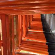 ヒメ日記 2026/03/09 10:37 投稿 モモカ Club 妻