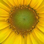 ヒメ日記 2026/03/21 15:17 投稿 モモカ Club 妻