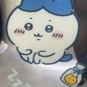 ヒメ日記 2025/02/01 00:08 投稿 ちひろ ビギナーズ神戸