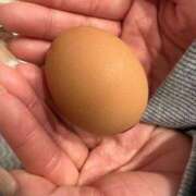 ヒメ日記 2024/12/11 17:54 投稿 ぴょん アラカルト