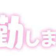 ヒメ日記 2024/11/23 08:06 投稿 かすみ 吉原ファーストレディ