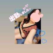 ヒメ日記 2024/12/13 12:40 投稿 かすみ 吉原ファーストレディ