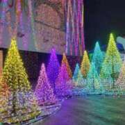 ヒメ日記 2024/12/17 20:51 投稿 かすみ 吉原ファーストレディ