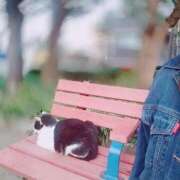 ヒメ日記 2024/12/29 11:15 投稿 かすみ 吉原ファーストレディ