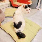 ヒメ日記 2025/01/16 11:30 投稿 かすみ 吉原ファーストレディ