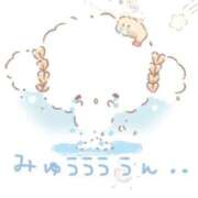 ヒメ日記 2025/02/12 16:51 投稿 かすみ 吉原ファーストレディ