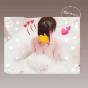 ヒメ日記 2025/02/17 14:37 投稿 かすみ 吉原ファーストレディ