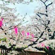 ヒメ日記 2025/04/02 16:30 投稿 かすみ 吉原ファーストレディ