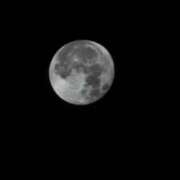 ヒメ日記 2025/04/12 17:21 投稿 かすみ 吉原ファーストレディ