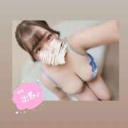 ヒメ日記 2025/09/17 13:27 投稿 かすみ 吉原ファーストレディ