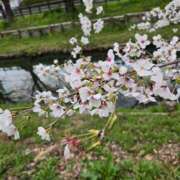 ヒメ日記 2025/03/30 22:35 投稿 さやか 素人妻達☆マイふぇらレディー