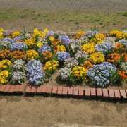 ヒメ日記 2025/04/19 18:00 投稿 さやか 素人妻達☆マイふぇらレディー