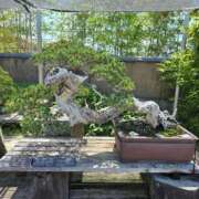 ヒメ日記 2025/08/18 16:26 投稿 さやか 素人妻達☆マイふぇらレディー