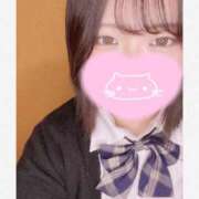 ヒメ日記 2025/08/26 09:02 投稿 みなみ 萌えカワ