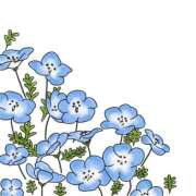 ヒメ日記 2026/04/15 11:52 投稿 みなみ 萌えカワ