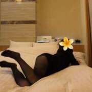 ヒメ日記 2026/04/03 00:45 投稿 れの★SSS級美の最高峰超逸材 Bell～S級美女お姉様・人妻デリヘル～