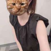 ヒメ日記 2026/08/01 20:27 投稿 れの★SSS級美の最高峰超逸材 Bell～S級美女お姉様・人妻デリヘル～