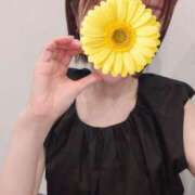 ヒメ日記 2026/08/01 20:45 投稿 れの★SSS級美の最高峰超逸材 Bell～S級美女お姉様・人妻デリヘル～